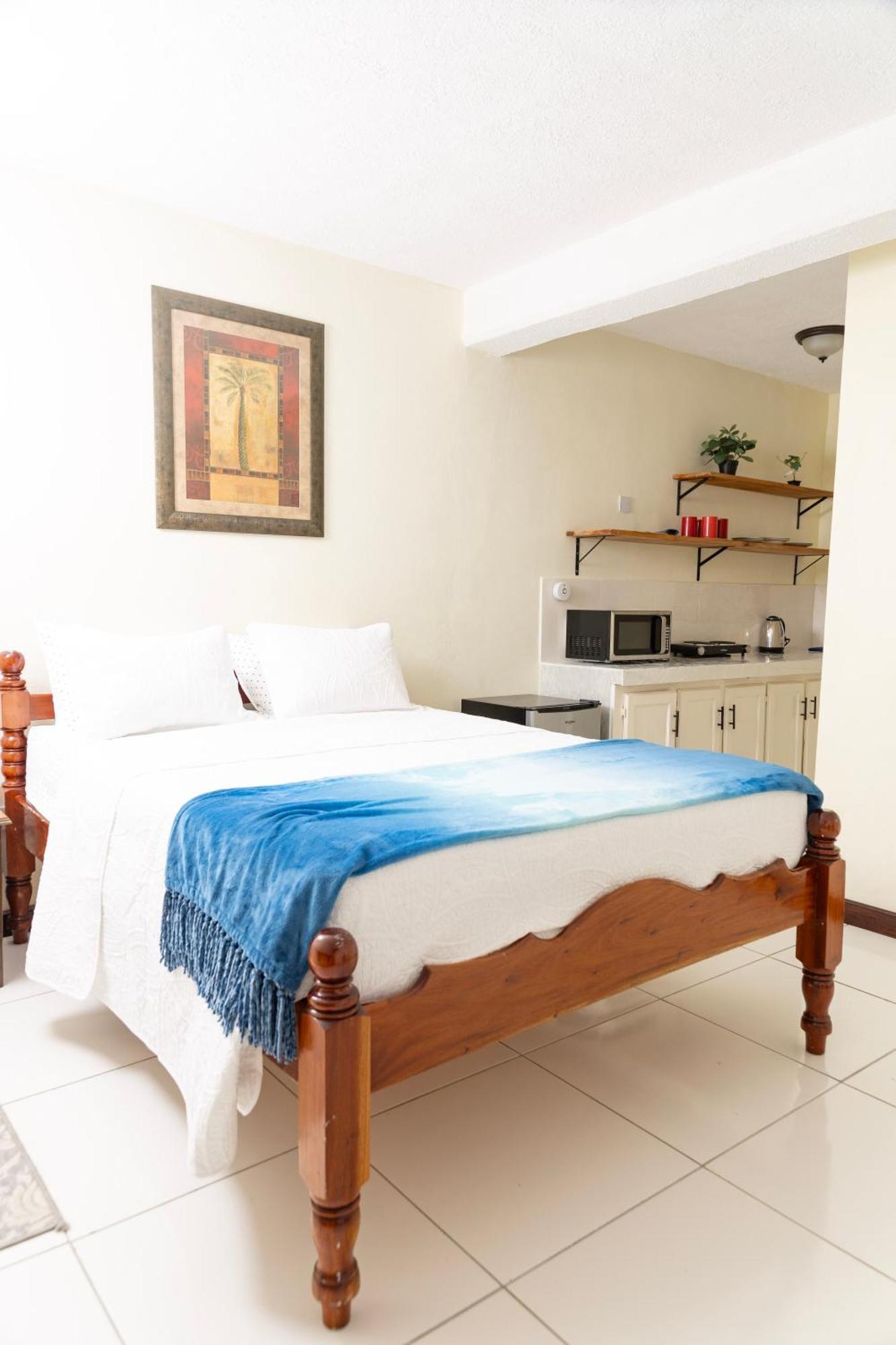 La Maison 29 Roseau Dış mekan fotoğraf
